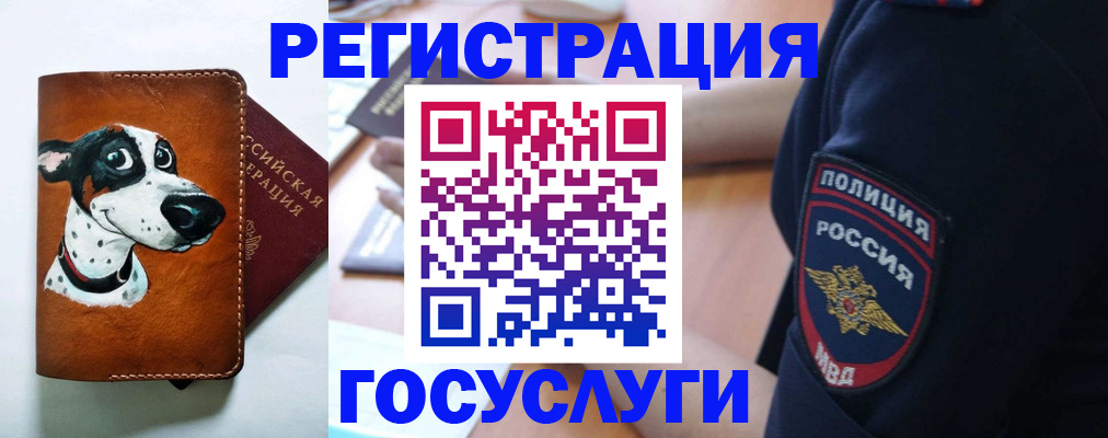 временная регистрация в квартире в Пласте